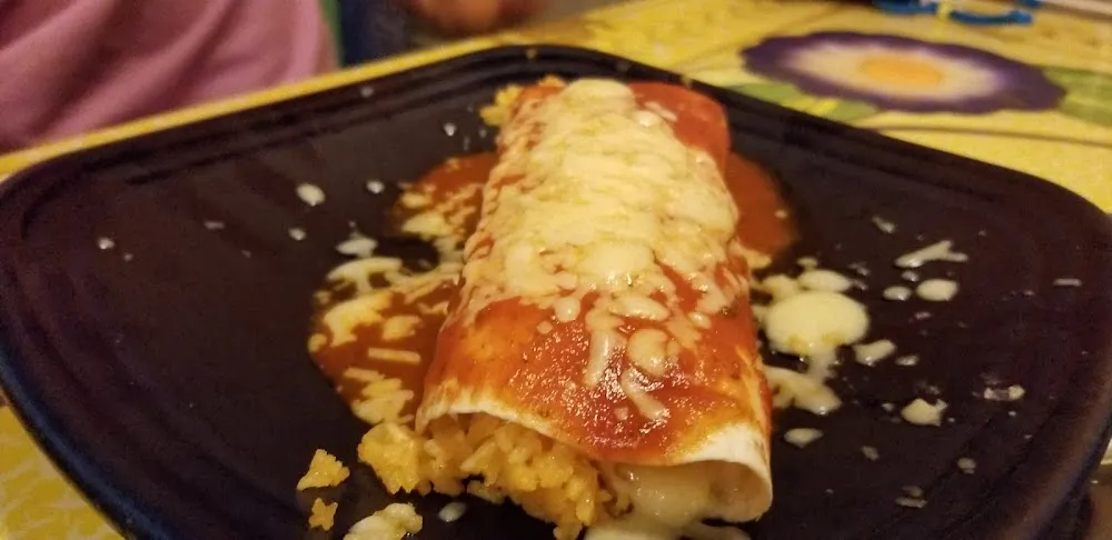 Chicken Enchilada